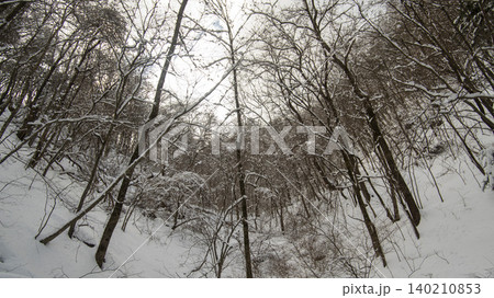 Seoraksan, Baekdam Valley 140210853