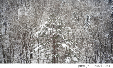 Seoraksan, Baekdam Valley 140210963