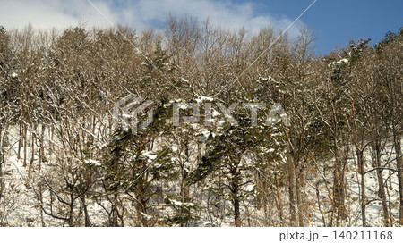 Baekdam Village Baekdam Village 140211168
