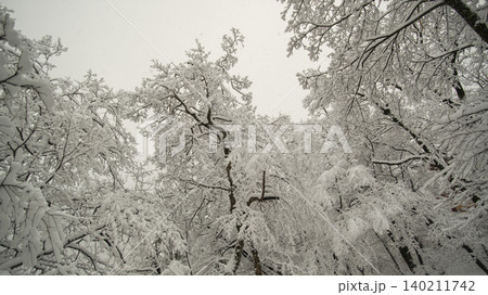 Seoraksan Mountain, Sogongwon Seoraksan Mountain, Sogongwon 140211742