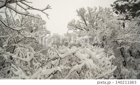 Seoraksan Mountain, Sogongwon Seoraksan Mountain, Sogongwon 140211863