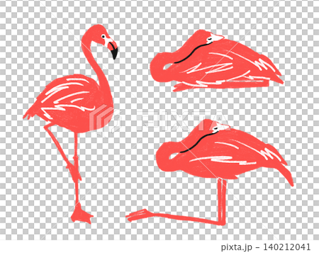 手描きのフラミンゴのイラスト 3点セット 140212041