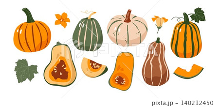 Flat vector pumpkin set with different shapes slices leaves and flowers autumn harvest theme 140212450