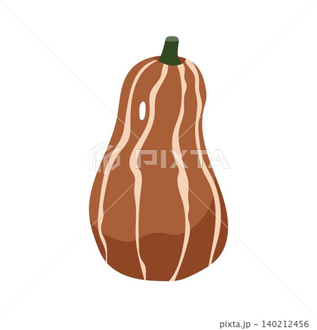 Brown striped pumpkin flat vector illustration decorative autumn harvest vegetable Brown striped pumpkin flat vector illustration decorative autumn harvest vegetable 140212456