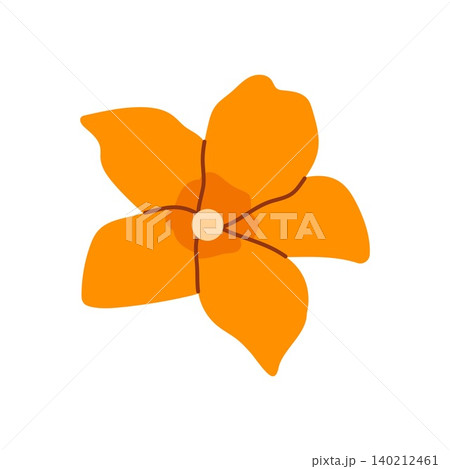 Pumpkin flower flat vector illustration isolated orange blossom botanical element Pumpkin flower flat vector illustration isolated orange blossom botanical element 140212461