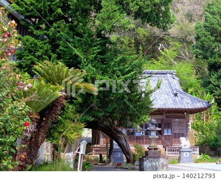 柿崎 三島神社境内 柿崎 三島神社境内 140212793