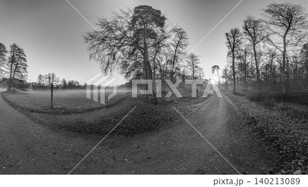 Forest Crossroads in Frosty Morning Light 140213089