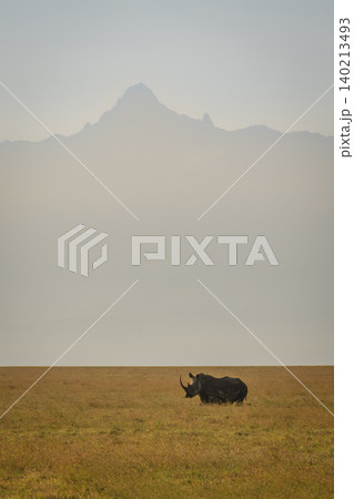 Black rhino on plain beneath Mount Kenya Black rhino on plain beneath Mount Kenya 140213493