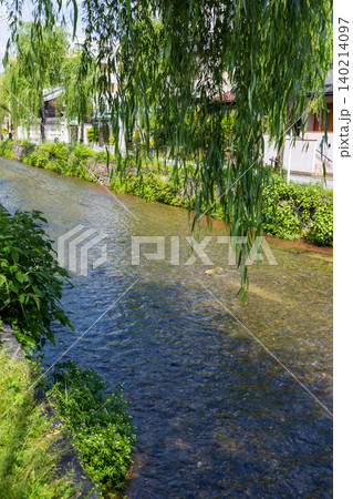 京都白川筋と白川の風景 140214097
