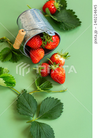 Healthy ripe strawberries with leaves and copy space 140214645