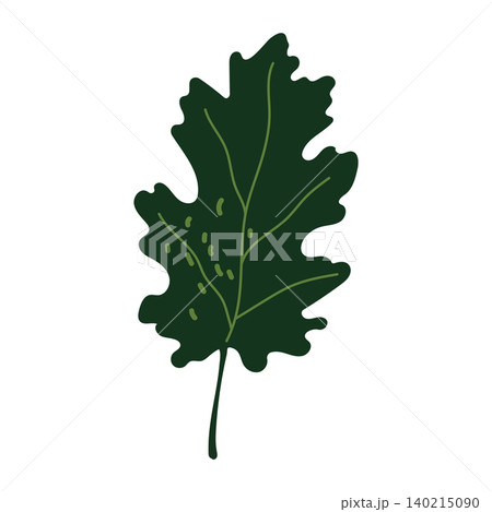 Dark green oak leaf vector autumn illustration isolated on white 140215090