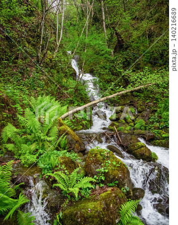 Rushing water tumbles over mossy rocks, vertical view. Rushing water tumbles over mossy rocks, vertical view. 140216689