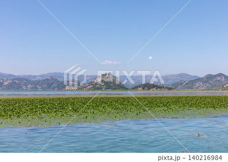 Scenic view of Lake Skadar with water lilies and mountains, Virpazar 140216984