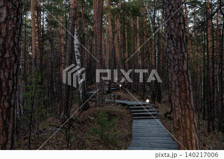Wooden boardwalk trail through pine forest at dusk with small path lights Wooden boardwalk trail through pine forest at dusk with small path lights 140217006