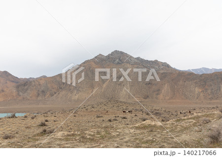 Rugged mountain landscape with arid valley and grazing horses in Kyrgyzstan 140217066