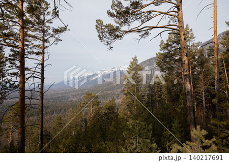 Mountain forest view on the trail to Pik Lyubvi near Arshan village, Russia Mountain forest view on the trail to Pik Lyubvi near Arshan village, Russia 140217691