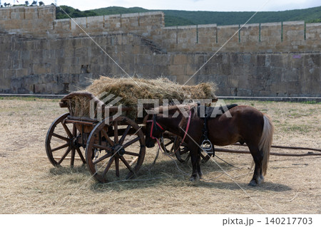Horse with hay cart at Naryn-Kala fortress, Derbent historic landmark scene Horse with hay cart at Naryn-Kala fortress, Derbent historic landmark scene 140217703