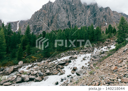 Mountain river and conifer forest in Aktru Valley, Altai Mountains landscape Mountain river and conifer forest in Aktru Valley, Altai Mountains landscape 140218044