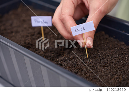 Hand places dill label into soil in planter box during herb planting setup Hand places dill label into soil in planter box during herb planting setup 140218430