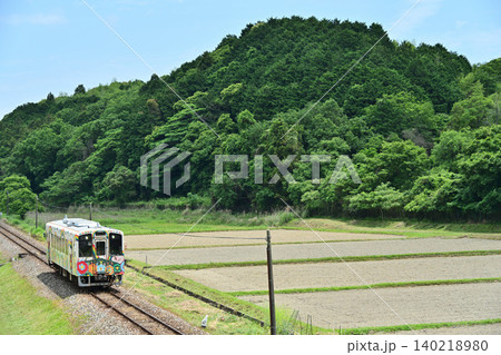 新緑の田んぼを走る列車 新緑の田んぼを走る列車 140218980