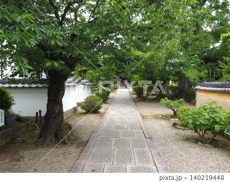 歴史の息吹が薫る古刹の道。初夏の瑞々しい木々が優しく包み込む境内の景観 140219448