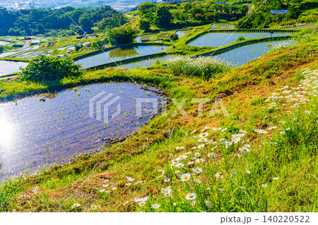 【長野県】田植えが始まった姨捨の棚田 早朝 【長野県】田植えが始まった姨捨の棚田 早朝 140220522