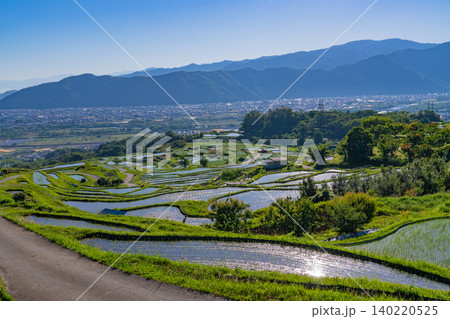 【長野県】田植えが始まった姨捨の棚田 早朝 【長野県】田植えが始まった姨捨の棚田 早朝 140220525