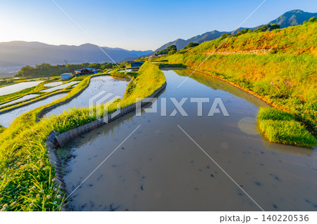 【長野県】田植えが始まった姨捨の棚田 早朝 【長野県】田植えが始まった姨捨の棚田 早朝 140220536