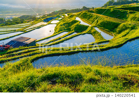 【長野県】田植えが始まった姨捨の棚田 早朝 【長野県】田植えが始まった姨捨の棚田 早朝 140220541