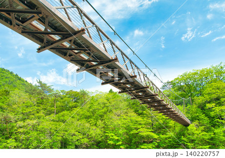 栃木県那須塩原市 塩原温泉に流れる箒川に架かる七ツ岩吊橋 栃木県那須塩原市 塩原温泉に流れる箒川に架かる七ツ岩吊橋 140220757