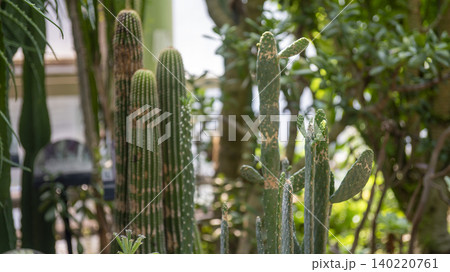 Ansan,Botanical Garden 140220761