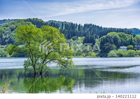 新緑の白川湖と水没林 山形県飯豊町 新緑の白川湖と水没林 山形県飯豊町 140221112
