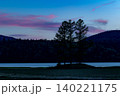 夕暮れと三本唐松 夕暮れと三本唐松 140221175