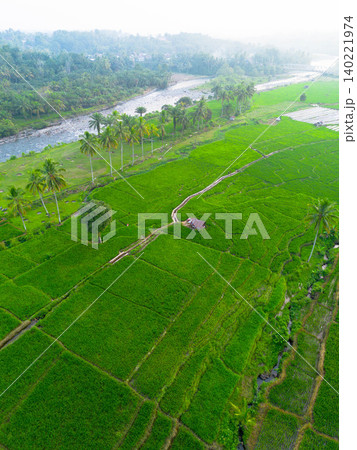 Beautiful morning view in Indonesia, panoramic landscape of rice fields with mountain ranges and clear sky Beautiful morning view in Indonesia, panoramic landscape of rice fields with mountain ranges and clear sky 140221974