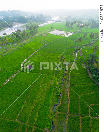 Beautiful morning view in Indonesia, panoramic landscape of rice fields with mountain ranges and clear sky Beautiful morning view in Indonesia, panoramic landscape of rice fields with mountain ranges and clear sky 140221975