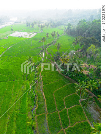 Beautiful morning view in Indonesia, panoramic landscape of rice fields with mountain ranges and clear sky Beautiful morning view in Indonesia, panoramic landscape of rice fields with mountain ranges and clear sky 140221976