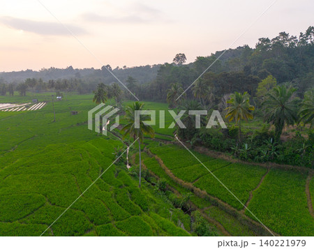Beautiful morning view in Indonesia, panoramic landscape of rice fields with mountain ranges and clear sky 140221979