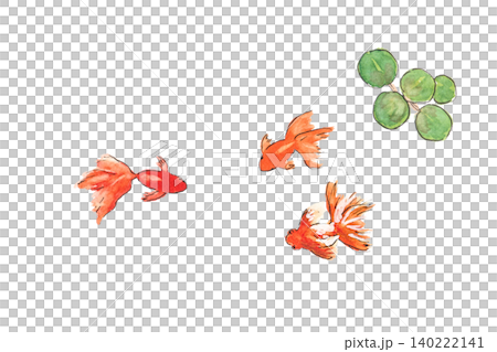 金魚が泳いでいる手描き水彩イラスト 金魚が泳いでいる手描き水彩イラスト 140222141