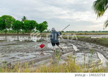 Farmer working flooded rice paddy preparing soil for cultivation rural agricultural landscape green trees sustainable food production Farmer working flooded rice paddy preparing soil for cultivation rural agricultural landscape green trees sustainable food production 140222718