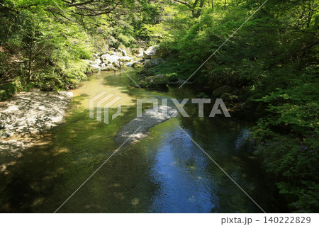 愛媛県内子町 小田深山渓谷の風景 愛媛県内子町 小田深山渓谷の風景 140222829