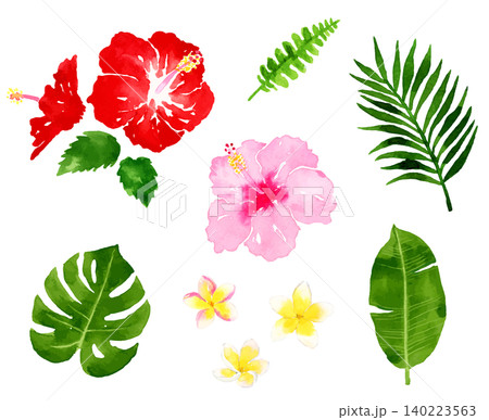 南国リゾートの花や熱帯植物の水彩イラスト 140223563