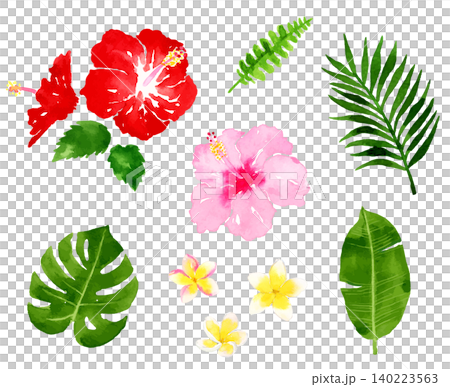 南国リゾートの花や熱帯植物の水彩イラスト 140223563