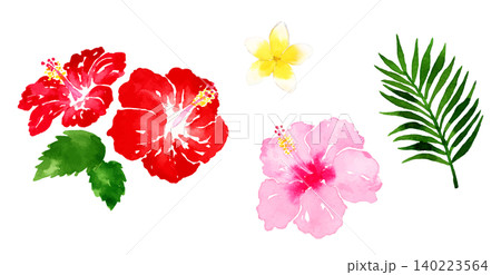 南国リゾートの花や植物の水彩イラスト 140223564