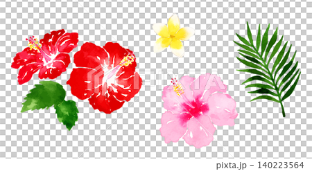 南国リゾートの花や植物の水彩イラスト 140223564