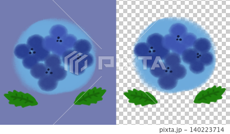 手繪藍色繡球花插圖 - 雨季,繡球花節(透明背景/PNG/JPEG) 手繪藍色繡球花插圖 - 雨季,繡球花節(透明背景/PNG/JPEG) 140223714