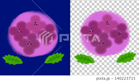 手繪插圖，描繪了一朵深紫色繡球花。雨季，繡球花節（透明背景/PNG/JPEG） 140223715