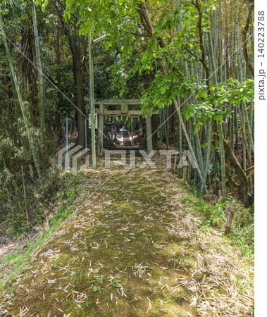 高市郡 高取町上子島字天王の上子嶋神社参道 2026年5月11日 高市郡 高取町上子島字天王の上子嶋神社参道 2026年5月11日 140223788