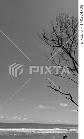 Monochrome minimalist portrait format view captures a bare dead tree silhouette on the right margin, overlooking rolling ocean waves under a vast open sky. Beautiful black white coastal scenery Monochrome minimalist portrait format view captures a bare dead tree silhouette on the right margin, overlooking rolling ocean waves under a vast open sky. Beautiful black white coastal scenery 140224708