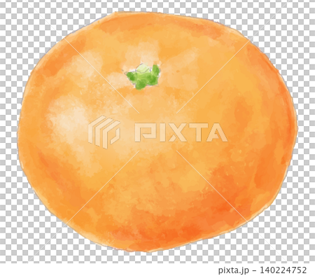みかんの水彩画のベクターイラスト みかんの水彩画のベクターイラスト 140224752