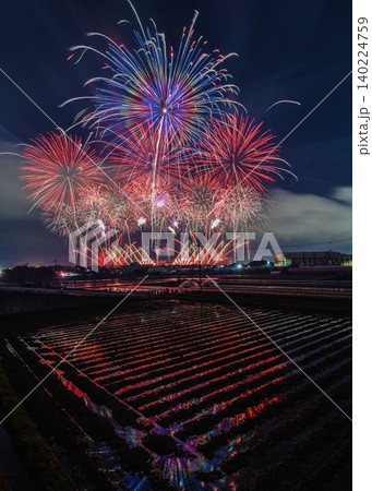 京都芸術花火2026 田んぼリフレクション 赤と青スターマイン 京都芸術花火2026 田んぼリフレクション 赤と青スターマイン 140224759